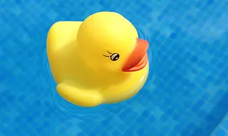 Quietscheente-Babyschwimmen