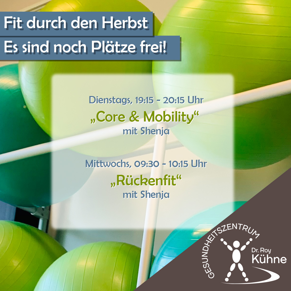 Fitnesskurse im Gesundheitszentrum Dr. Roy Kühne Northeim - Core & Mobility & Rückenfit